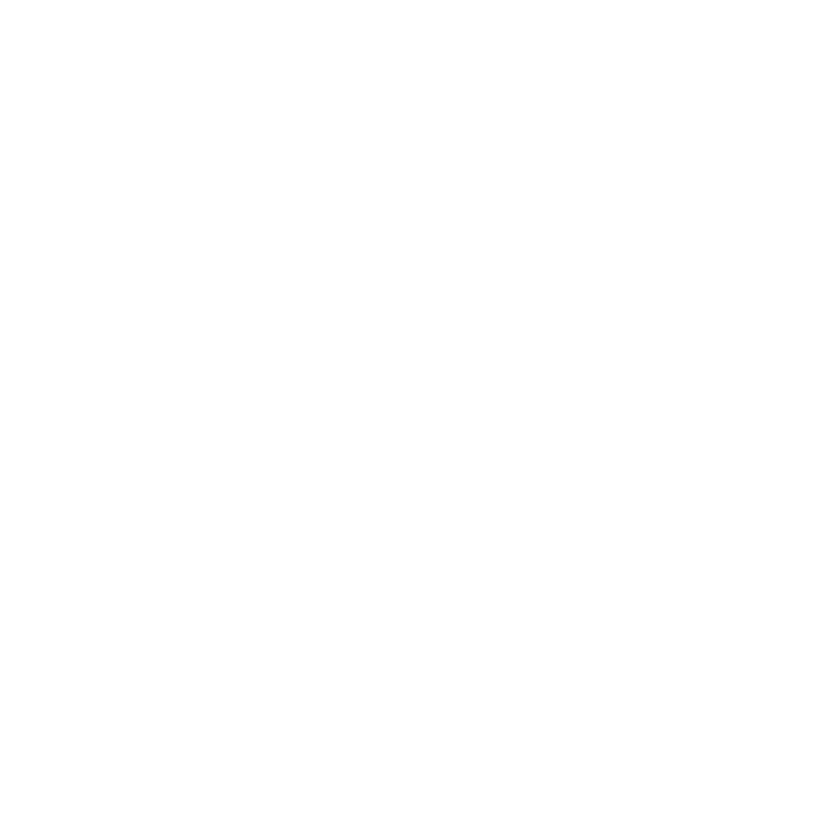 Skier icon