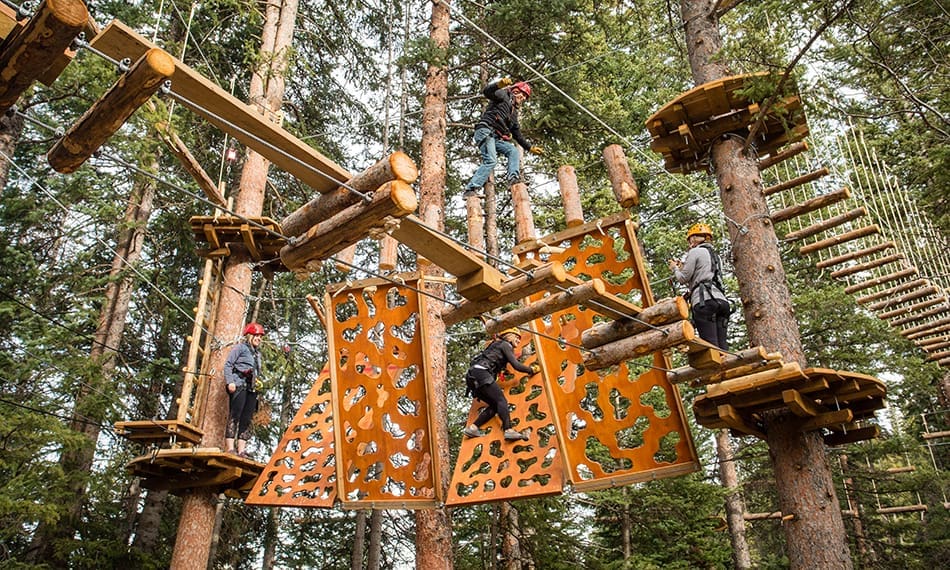 The Lost Forest - Mountain Adventure Center | Snowmass Village
