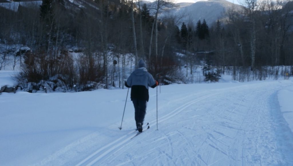 North Star Nature Preserve Classic Cross-Country Skier