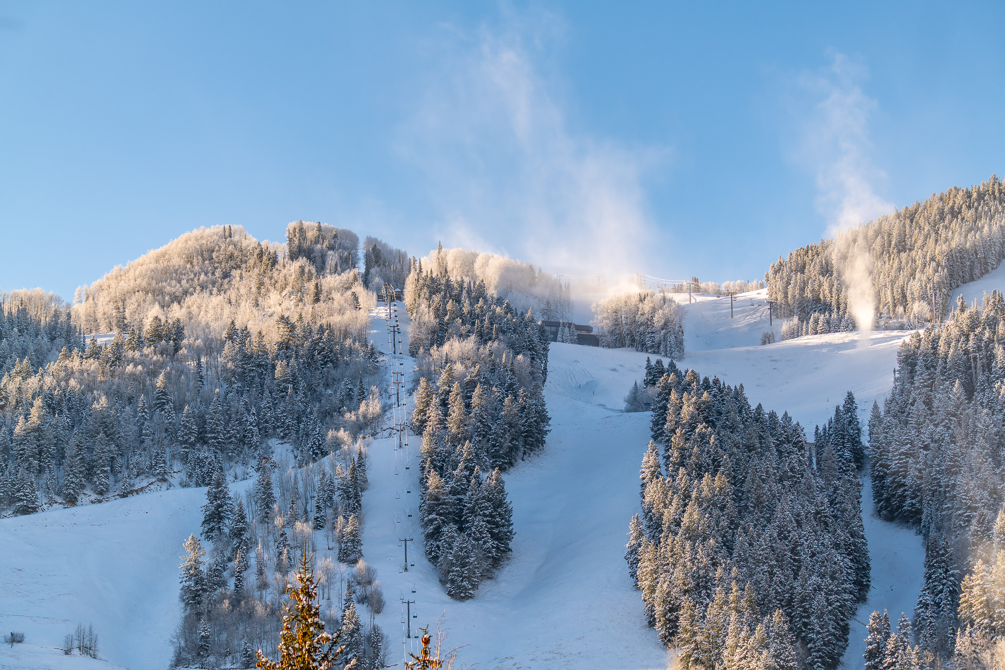 The Love Languages of Aspen