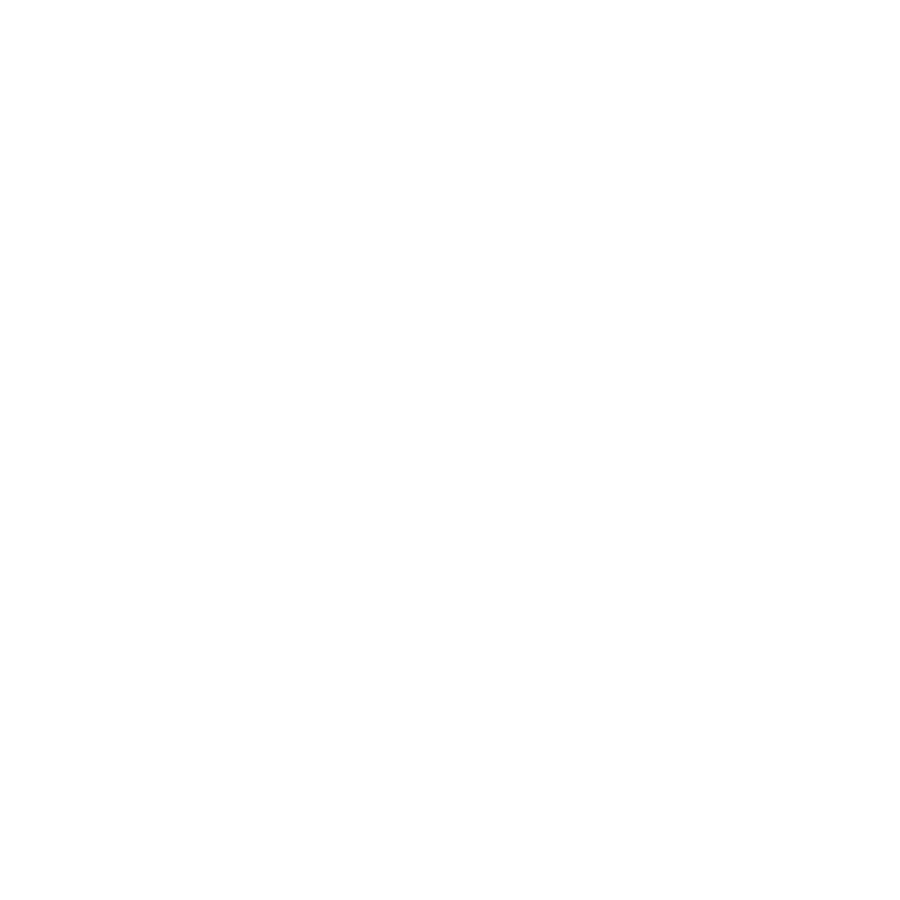 Shopping bag icon