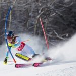 Alpine Ski Racer