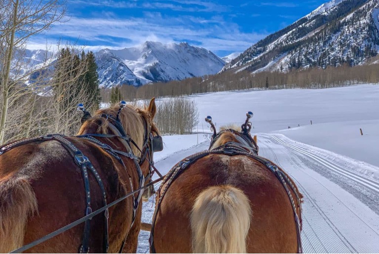 Horses pulling a sleigh to the Pine Creek Cookhouse near Aspen during the holidays