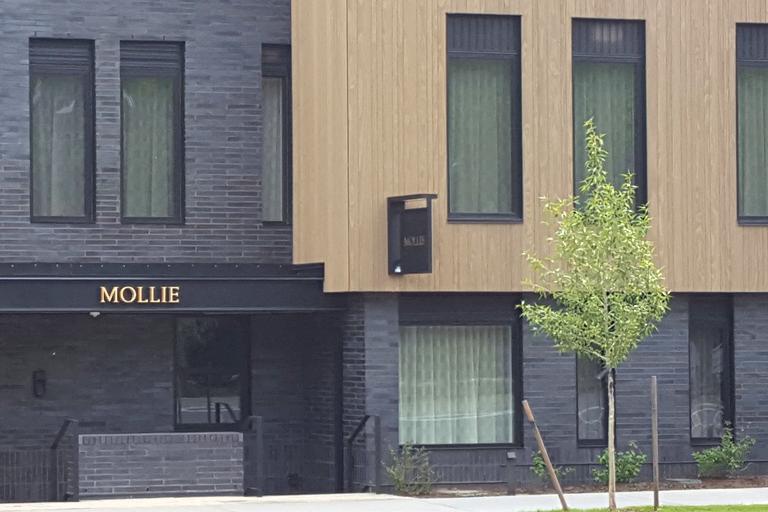 Mollie Gibson Hotel - Aspen, Colorado The Mollie - New Restaurant and Hotel in Aspen 2024