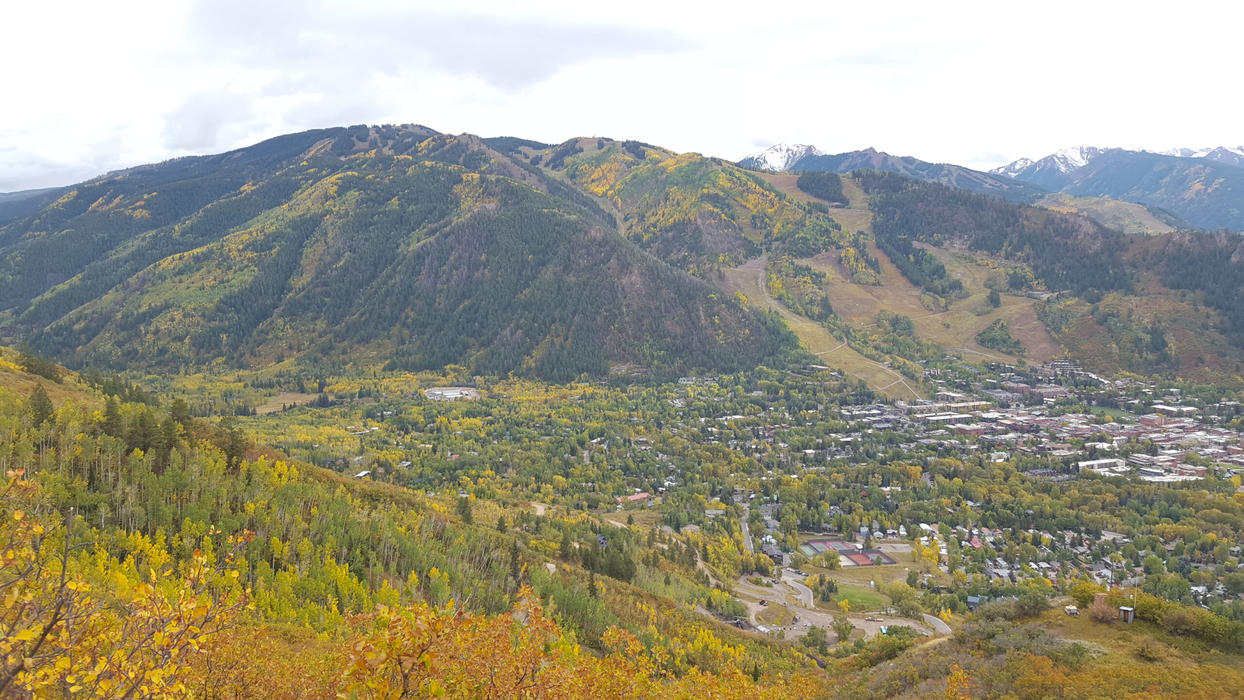 Aspen Core and mountains in fall with golden aspen trees