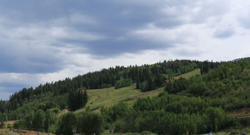 A landscape of a forested Buttermilk mountain under a cloudy sky. Tall evergreens blend with lush green meadows, creating a serene and natural scene.