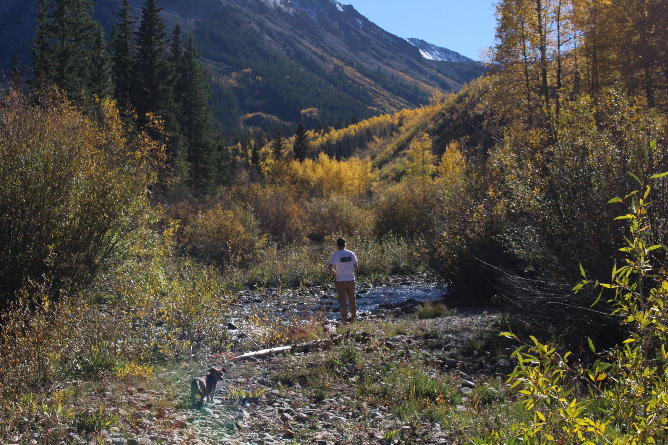 A person hiking along a scenic trail near a stream surrounded by golden fall foliage and mountains in Aspen Colorado during shoulder season
